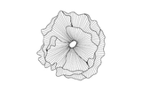 Phillips Collection Poppy Flower Wall Art, Silver/Black SM Accent