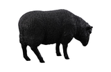 Phillips Collection Sheep Sculpture Gel Coat Black Accent