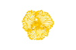 Phillips Collection Flower Wall Art Extra Small Dandelion Metal Accent