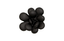 Phillips Collection Oviferum Succulent , Smooth Matte Black Black Wall Art
