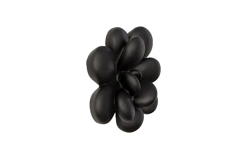 Phillips Collection Oviferum Succulent , Smooth Matte Black Black Wall Art