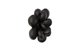 Phillips Collection Oviferum Succulent , Smooth Matte Black Black Wall Art