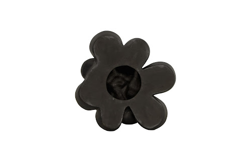 Phillips Collection Oviferum Succulent , Smooth Matte Black Black Wall Art