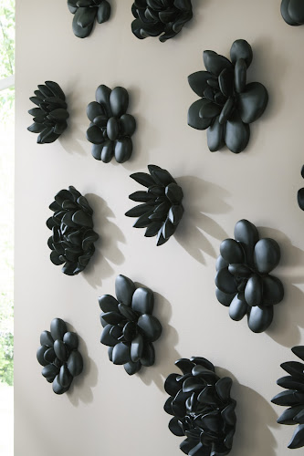 Phillips Collection Oviferum Succulent , Smooth Matte Black Black Wall Art