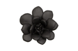 Phillips Collection Laui Succulent , Smooth Matte Black Black Wall Art
