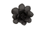 Phillips Collection Laui Succulent , Smooth Matte Black Black Wall Art