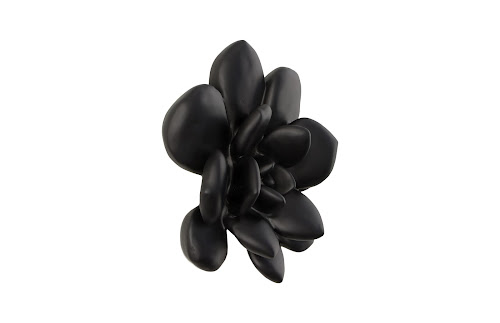 Phillips Collection Laui Succulent , Smooth Matte Black Black Wall Art