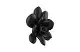 Phillips Collection Laui Succulent , Smooth Matte Black Black Wall Art