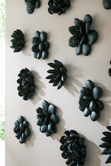 Phillips Collection Laui Succulent , Smooth Matte Black Black Wall Art