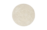 Phillips Collection Coral Reef Wall Art, Painted Cream Color Round Accent