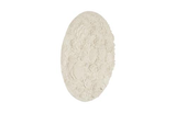 Phillips Collection Coral Reef Wall Art, Painted Cream Color Round Accent