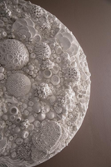 Phillips Collection Coral Reef Wall Art, Painted Cream Color Round Accent