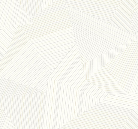 York Dotted Maze White & Off White Wallpaper