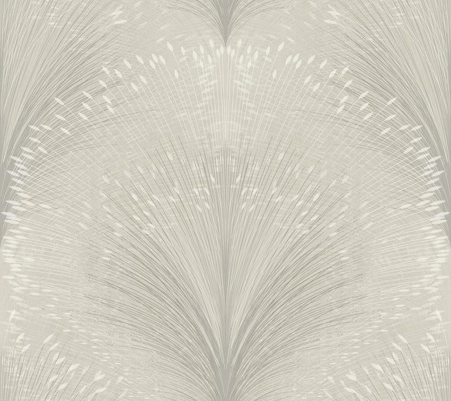 York Papyrus Plume Black Wallpaper