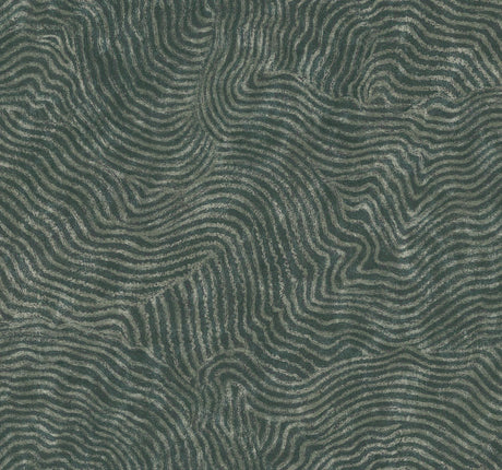 York Modern Wood Green Wallpaper