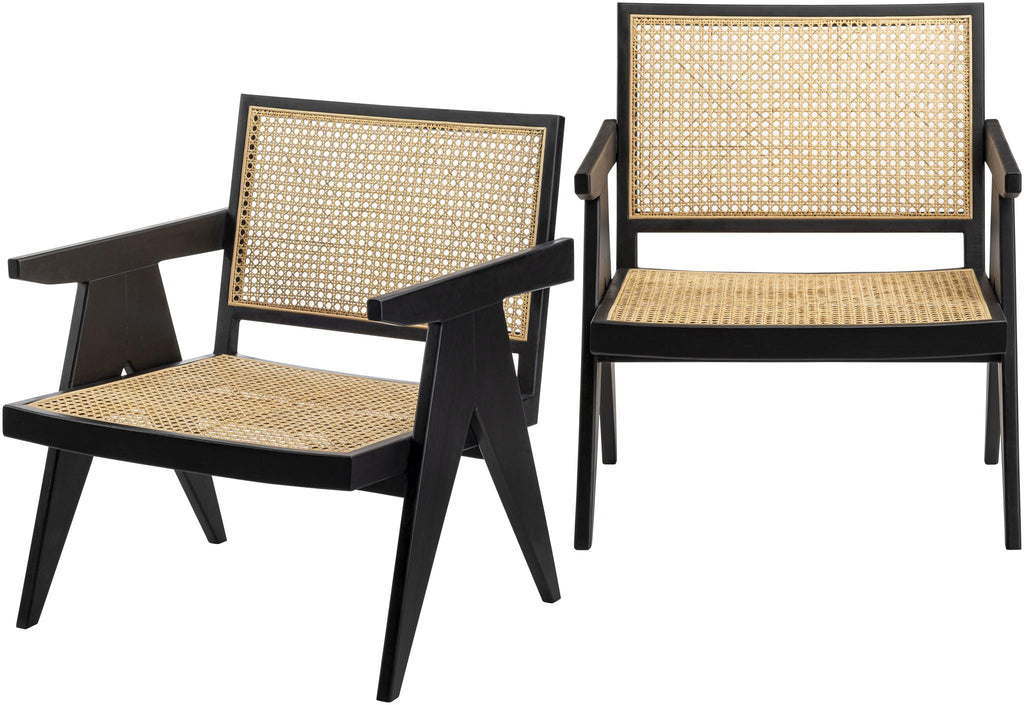 Surya Hague HAG-001 30"H x 26"W x 26"D, 30"H x 26"W x 26"D Accent and Lounge Chairs