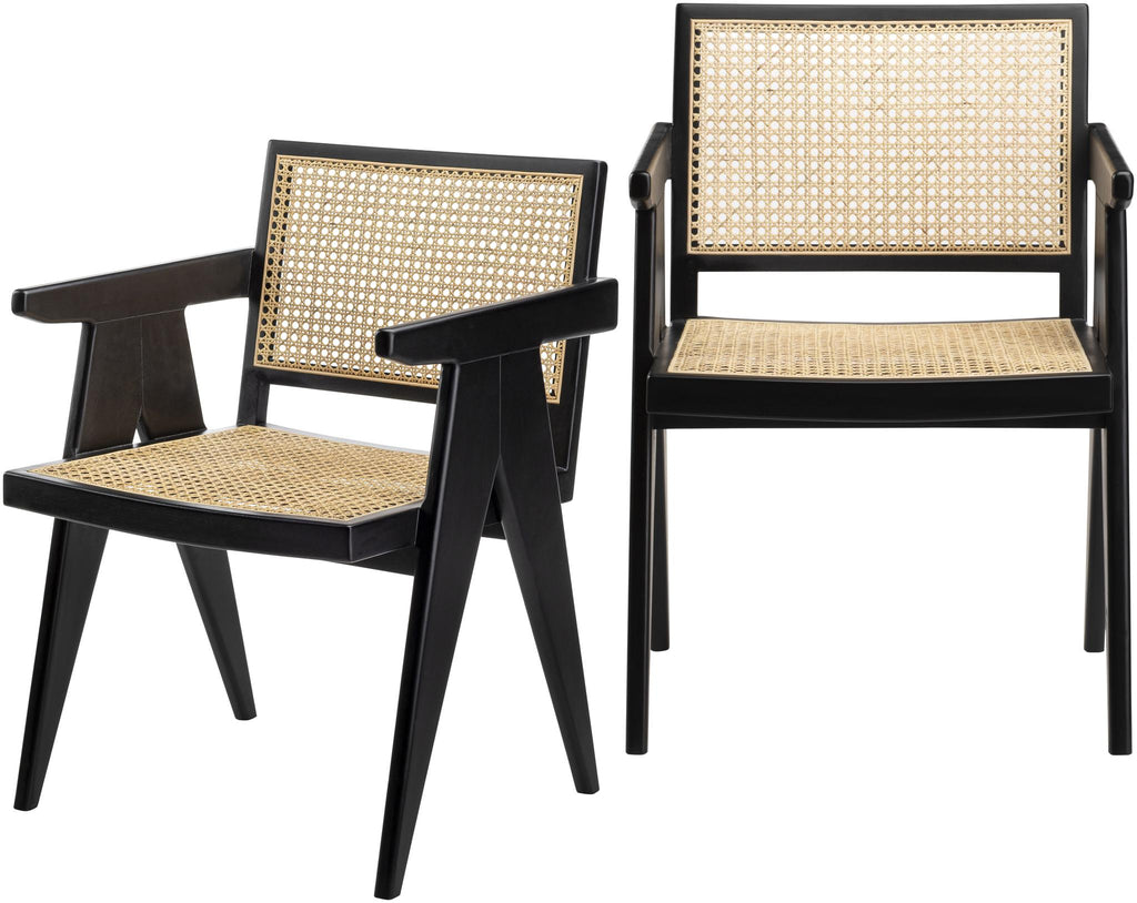 Surya Hague HAG-003 32"H x 22"W x 22"D, 32"H x 22"W x 22"D Accent and Lounge Chairs
