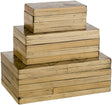 Surya Cane Garden CGN-009 5"H x 8"W x 14"D, 4"H x 6"W x 11"D, 3"H x 4"W x 8"D Decorative Accent