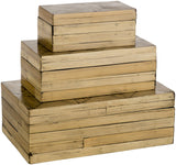 Surya Cane Garden CGN-009 5"H x 8"W x 14"D, 4"H x 6"W x 11"D, 3"H x 4"W x 8"D Decorative Accent