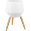 Surya Orchid ORC-007 22"H x 14"W x 14"D Decorative Accent