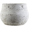 Surya Rome RMR-250 8"H x 12"W x 12"D Decorative Accent