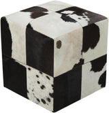 Surya Appalachian POUF-56 18"H x 18"W x 18"D Furniture Piece