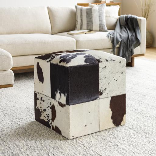 Surya Appalachian POUF-56 18"H x 18"W x 18"D Furniture Piece