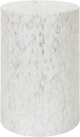 Surya Iridescent ISC-001 19"H x 13"W x 13"D Furniture Piece