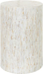 Surya Iridescent ISC-003 19"H x 13"W x 13"D Furniture Piece