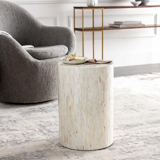 Surya Iridescent ISC-003 Ivory Tan 19"H x 13"W x 13"D Furniture