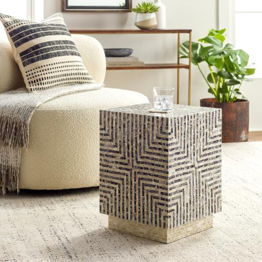 Surya Lharysa LYH-002 19"H x 14"W x 14"D Furniture Piece
