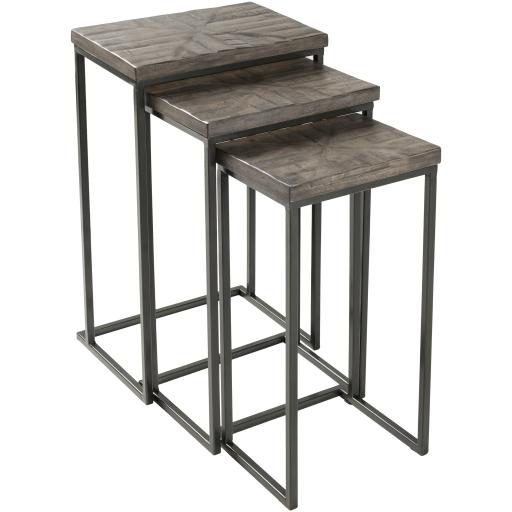 Surya Troyes TOE-001 26"H x 16"W x 11"D, 24"H x 14"W x 10"D, 22"H x 12"W x 9"D Furniture Piece