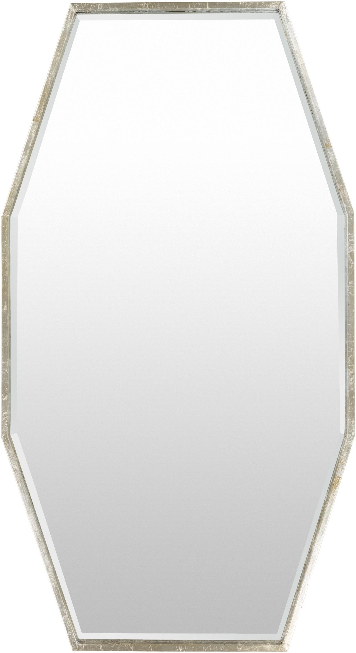 Surya Adams ADA-3000 55"H x 30"W x 1"D Mirror
