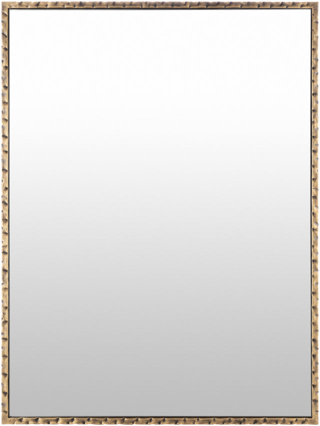 Surya Alchemist AHI-005 40"H x 30"W x 0.5"D Mirror