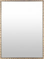 Surya Alchemist AHI-005 40"H x 30"W x 0.5"D Mirror