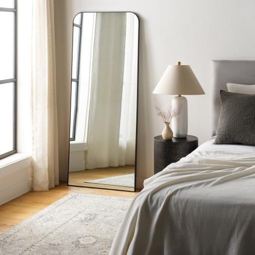 Surya Aranya RAY-009 67"H x 28"W x 1"D Mirror