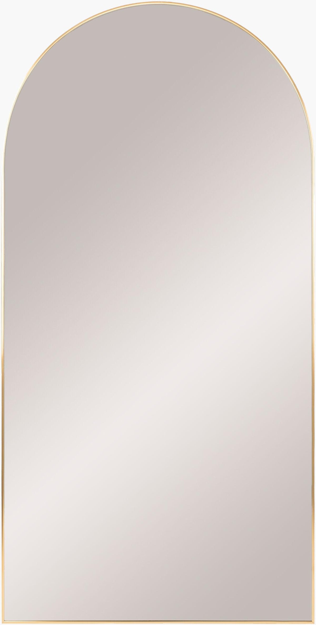 Livabliss Aranya RAY-013 65"H x 22"W x 1"D Mirror