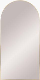Livabliss Aranya RAY-013 65"H x 22"W x 1"D Mirror