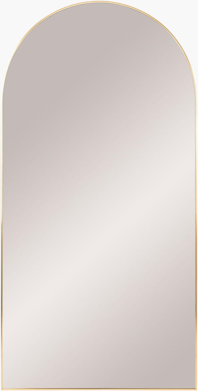 Livabliss Aranya RAY-013 65"H x 22"W x 1"D Mirror