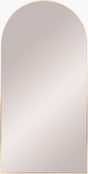 Livabliss Aranya RAY-013 65"H x 22"W x 1"D Mirror