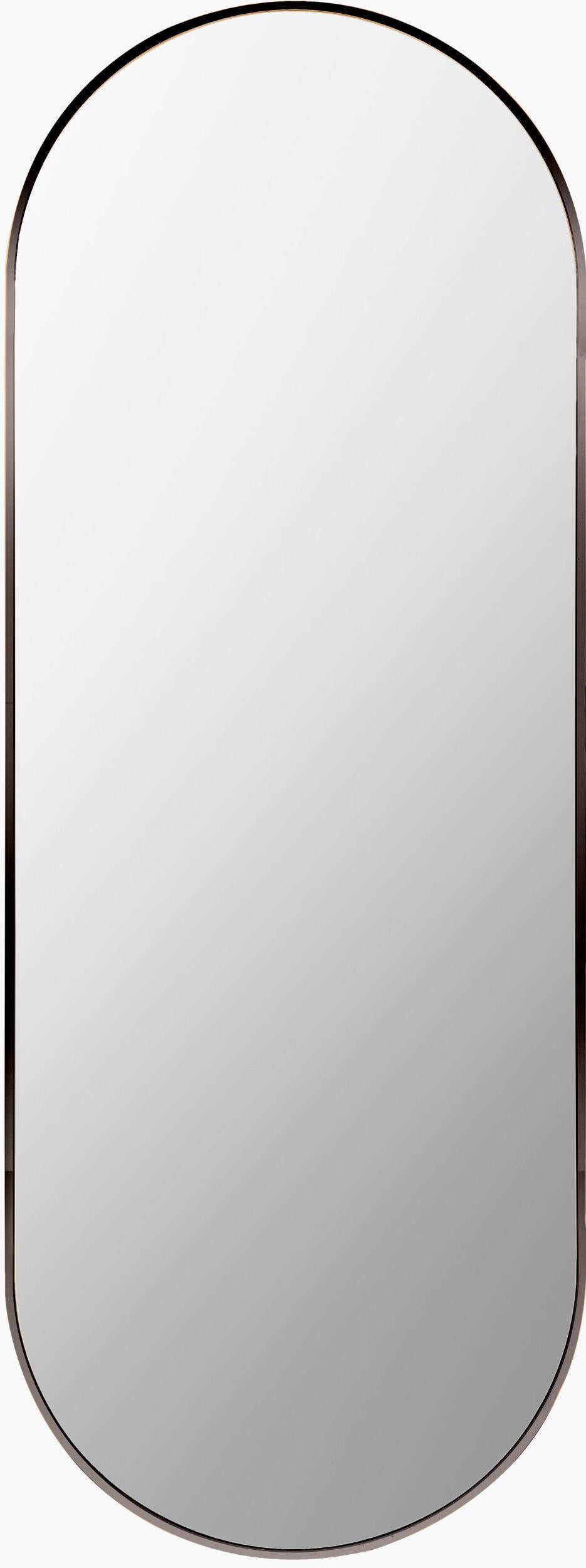 Livabliss Aranya RAY-019 65"H x 22"W x 1"D Mirror