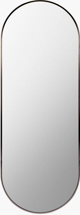 Livabliss Aranya RAY-019 65"H x 22"W x 1"D Mirror