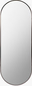 Livabliss Aranya RAY-019 65"H x 22"W x 1"D Mirror