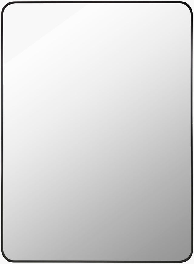 Livabliss Aranya RAY-023 30"H x 20"W x 1"D Mirror