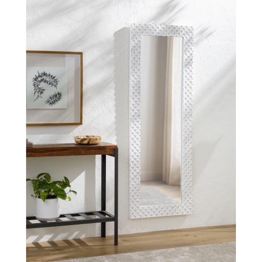Surya Beluga BGU-001 69"H x 25"W x 2"D Mirror