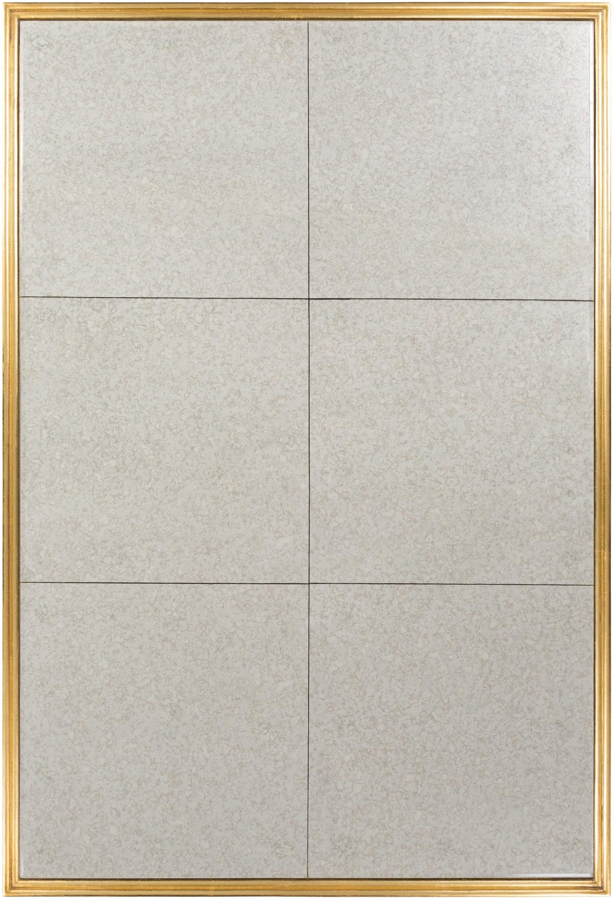 Surya Brantley BTY-001 60"H x 40"W x 1"D Mirror