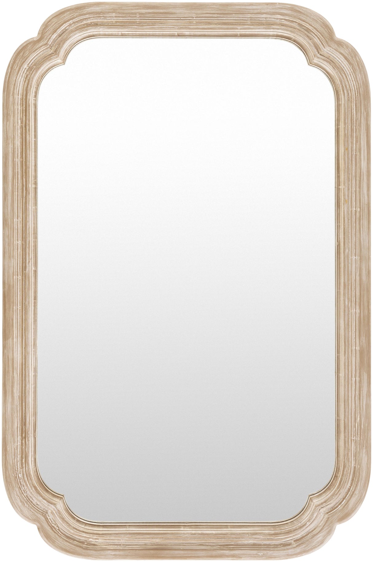 Surya Harlan HRL-001 45"H x 30"W x 1"D Mirror