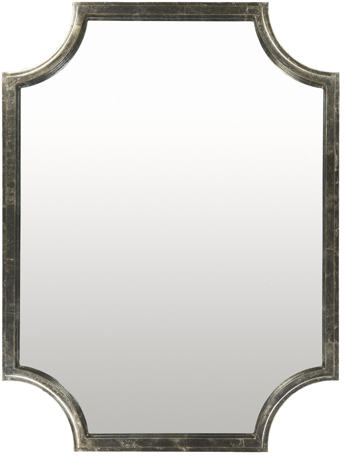 Surya Joslyn JSL-002 40"H x 30"W x 2"D Mirror