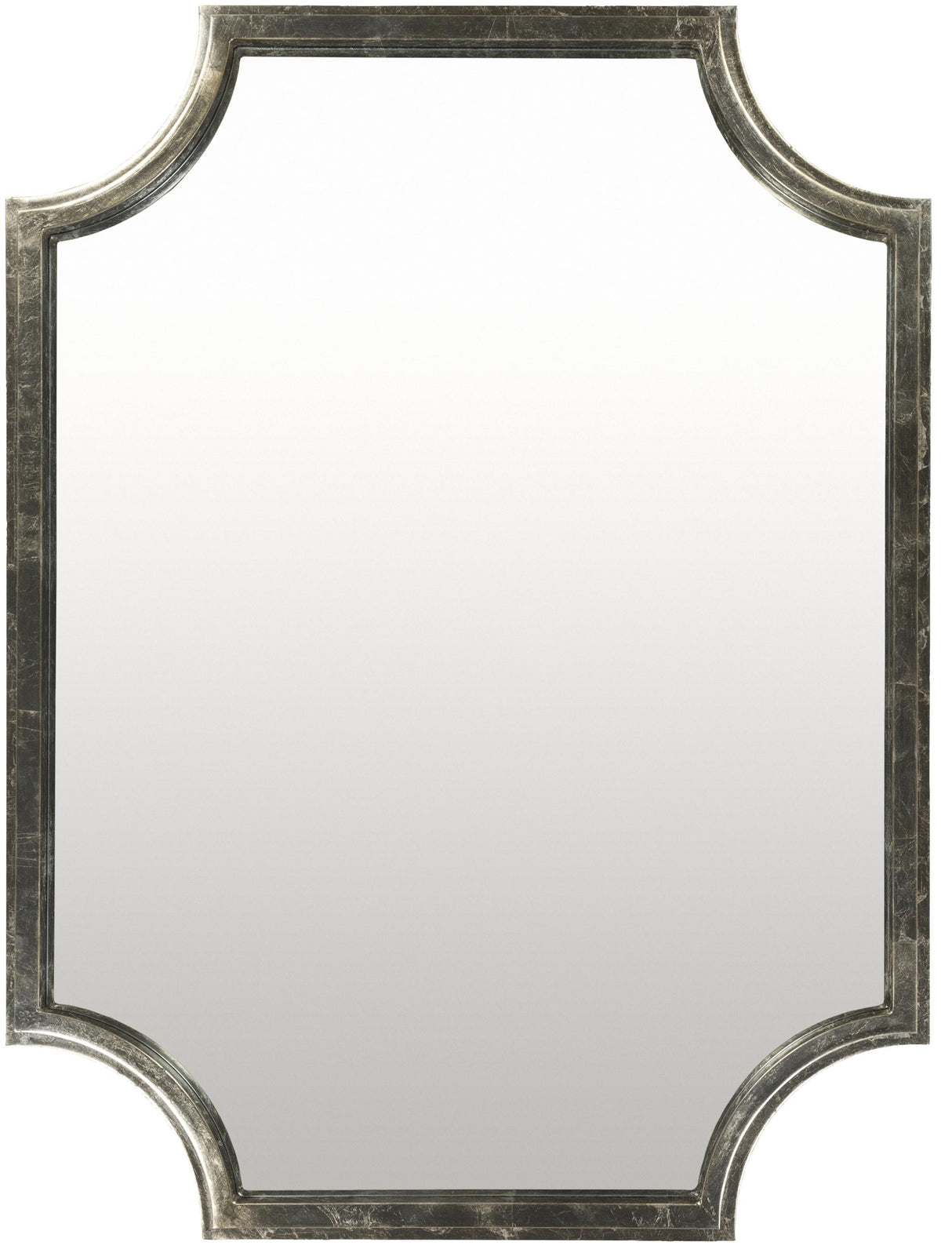Surya Joslyn JSL-002 40"H x 30"W x 2"D Mirror