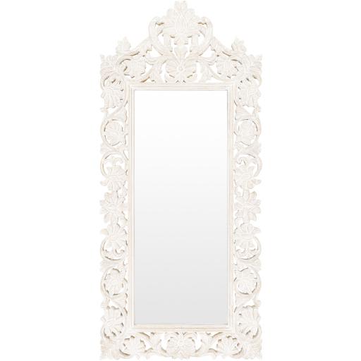 Surya Naomi NMI-002 53"H x 24"W x 2"D Mirror